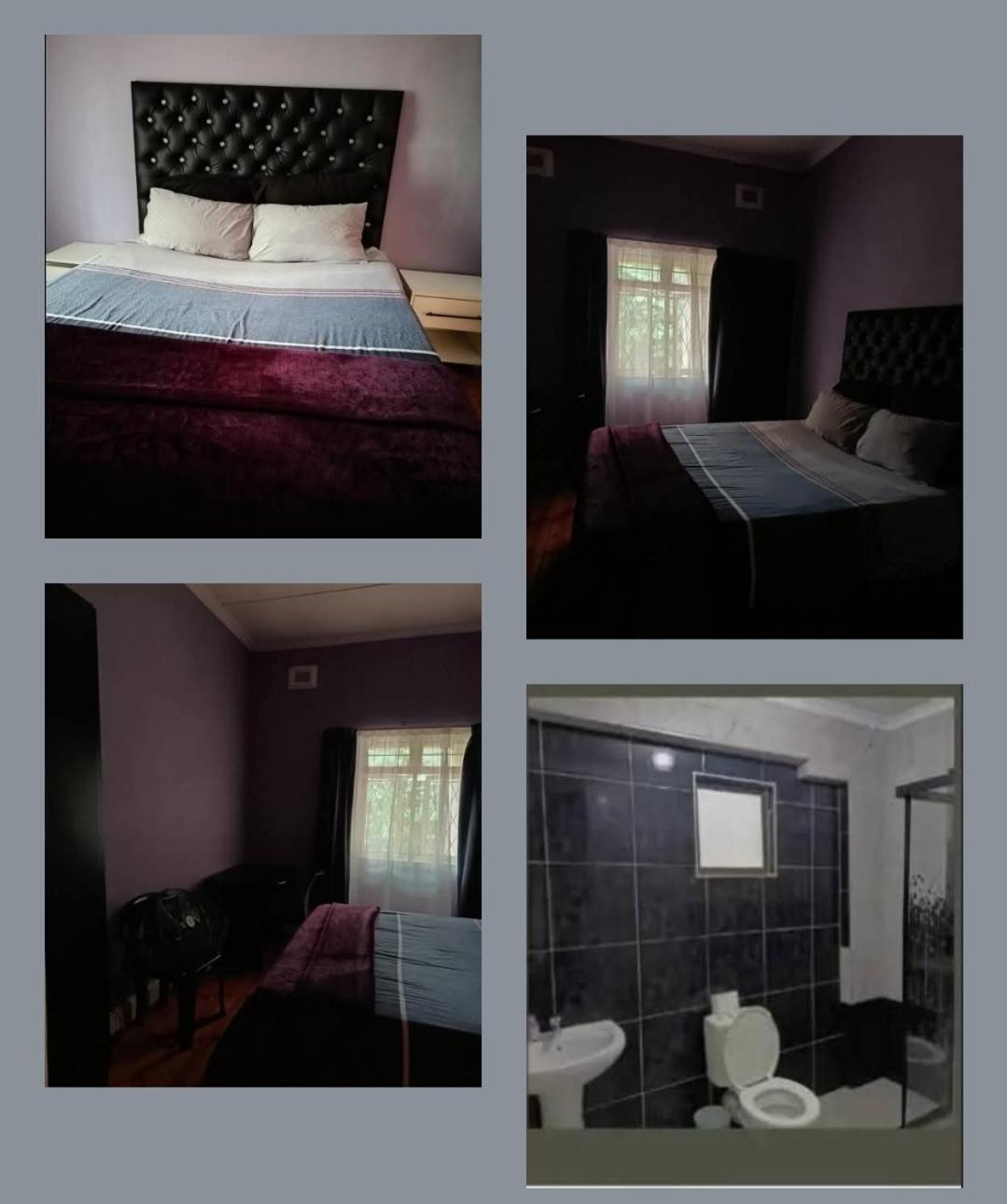Pmb Backpackers Lodge Питърмарицбург Екстериор снимка